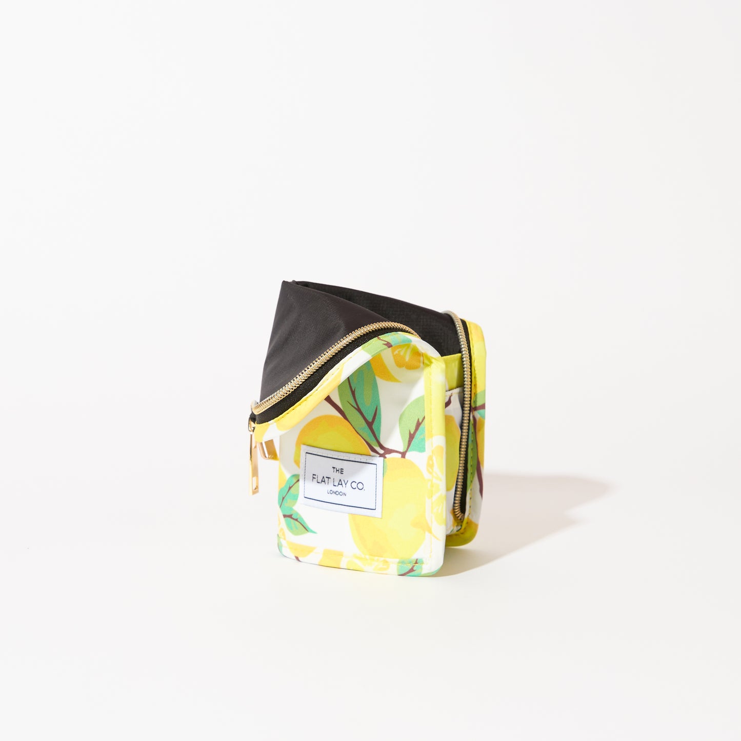 Lemons Standing Brush Case