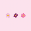 Bouquet Flowers